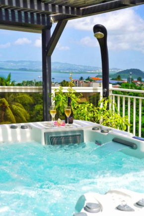 Villa Sweet Caraïbes, vue mer, jacuzzi